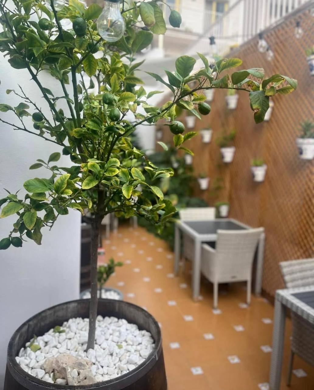 Hotel Colibri à Calella Extérieur photo